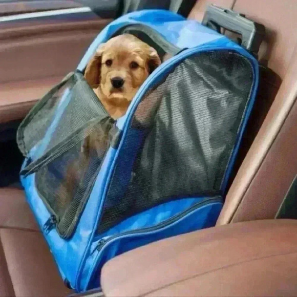 NWOT, Rolling Backpack Pet Carrier, Small Dog, Cat, Mesh, Pockets, Blue, Black - Picture 2 of 13